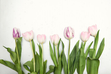 Floral background with copy space. Flat-lay frame of tulips. Womens day, mothers day greeting card