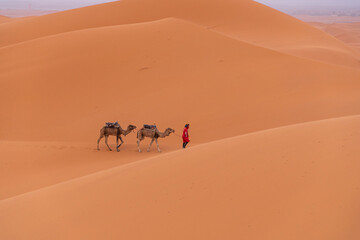Fototapeta na wymiar Merzouga desert, Morocco