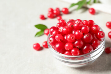 Fresh cranberry in bowl on light table, space for text