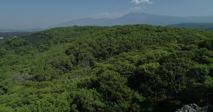 Patara Beach is a beach located near the ancient Lycian city of Patara in Turkey, on the coast of the Turkish Riviera.