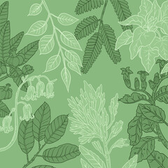 collection d'illustrations vectorielles de plantes avec feuilles et fleurs dans un style graphique au trait isolé sur fond vert - obrazy, fototapety, plakaty