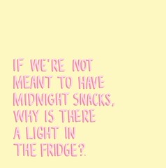 Why is there a light in the fridge? Funny Quote Illustration