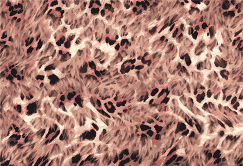 animal skin vector	
