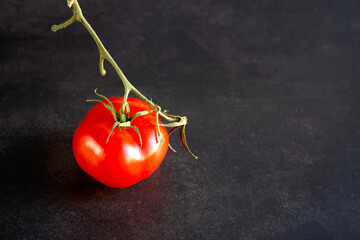 Red, ripe tomato on a dark background