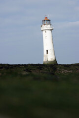 lighthouse on the coast