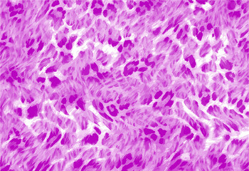 abstract animal skin pattern vector