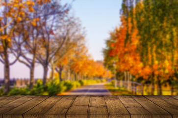 Naklejka na ściany i meble Beautiful autumn background with empty wooden deck table. Ready for product montage display