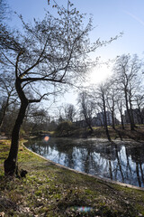 Fototapeta na wymiar Belgique Bruxelles Schaerbeek parc Josaphat espace vert