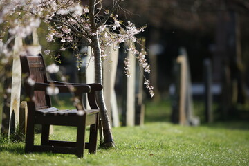 Wooden bench in a churchyard overlooking grave stones in Spring