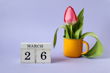 Calendar for March 26 : a cube with the number 26, the name of the month March in English, a scarlet tulip in a yellow cup on a pastel background