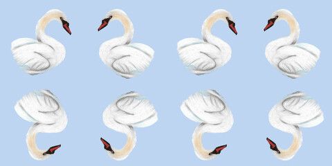 Seamless pattern with white swans on a light blue background. Hand painted in oil pastels. Tender and minimal design