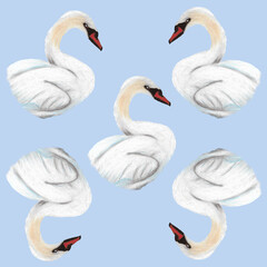 Seamless pattern with white swans on a light blue background. Hand painted in oil pastels . Tender, minimalist design