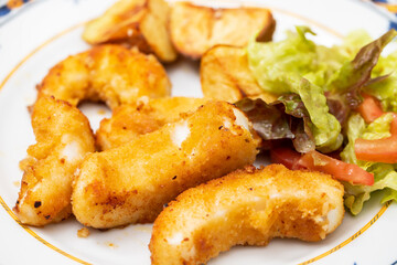 fried squid with fried potato and salad on the plate