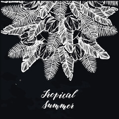 Vector illustration, Tropical summer. tropical leaves,cacti, print on t-shirt, chalkboard  background, Handmade
