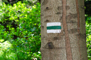 Green hiking trail. Detail of touristic marking on hiking trails. Forest navigating map.