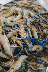 A lot of fresh raw prawns are on the tray with ice and foam for sale in the seafood market in discount store.