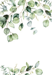 Watercolor vertical border of eucalyptus branches, seeds and leaves. Hand painted card of plants isolated on white background. Floral illustration for design, print, fabric or background.