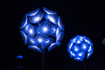 Dandelion lamp shinning  with blue lights.