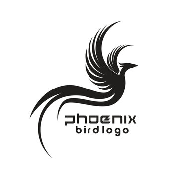 24 232 Best Phoenix Bird Logo Images Stock Photos Vectors Adobe Stock