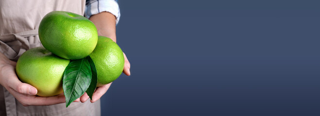 Woman holding sweetie fruits on blue background, closeup view with space for text. Banner design