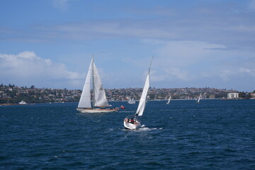 Naklejka premium Sailing in Sydney 
