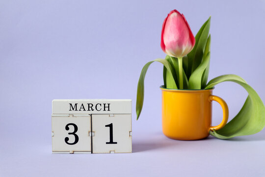  Calendar for March 31 : a cube with the number 31, the name of the month March in English, a scarlet tulip in a yellow cup on a pastel background
