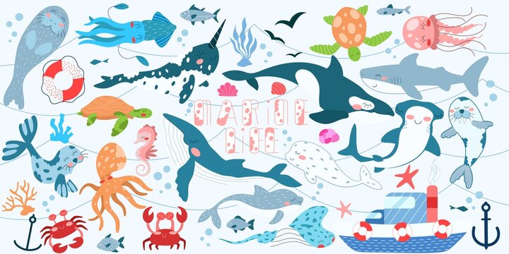 Children's illustration of a marine life bigset in black and white, color and linear version on a white background. For a children's magazine, postcards, educational toys, coloring pages, stickers © Nika