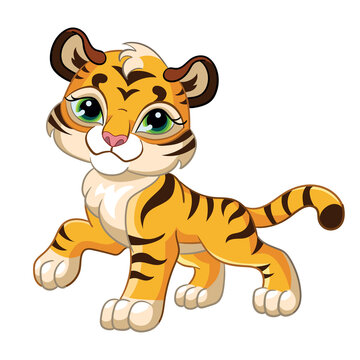 Cute little tiger cartoon character vector illustration