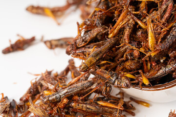 Pure white background characteristic food pepper salt migratory locust