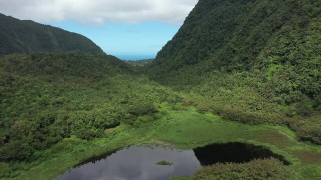 Grand Bassin remote lake in Reunion Island