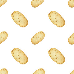 a seamless pattern of detailed potato on a white. organic food, farmers market