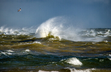 Obraz premium Storm clouds above the Baltic sea in winter. Dramatic sky, waves and water splashes. Dark seascape. Latvia.