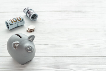 Investment concept. Piggy bank with money, close up