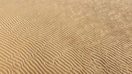 sand texture background