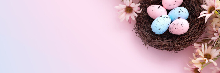 Colorful easter eggs in nest and flowers on pink background with copy space. Flat lay. Banner