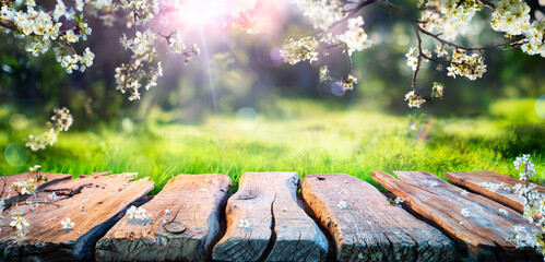 Spring Table With Trees In Blooming And Defocused Sunny Garden In Background - 419127988
