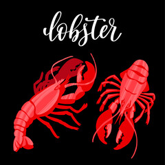 Seafood healthy nutrition product. Red delicious lobster.