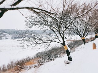 Snowy Andong Hahoe Village