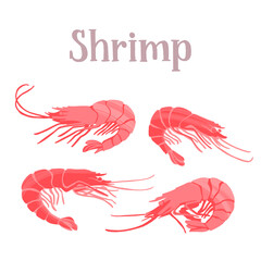 Seafood healthy nutrition product. Fresh tasty shrimps.