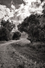 am Greifswalder Bodden