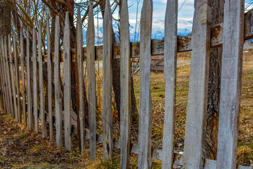 Wooden garden fence. Unpainted wood. Natural.