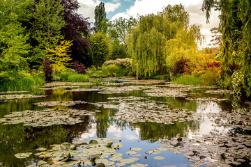Pond, trees, and waterlilies in a french garden
