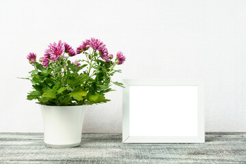 Mock up of a white frame with a chrysanthemum flower in a white pot on a wooden table.