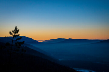A lonely pine tree growing on a rock and colorful sunset illuminating the sky over the foggy valley. Tatra Mountains, Poland. Selective focus on the ridge, blurred background.