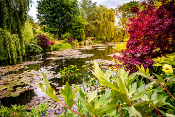 Fototapeta na wymiar Pond, trees, and waterlilies in a french garden