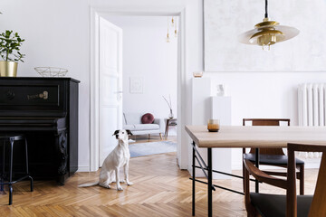 Stylish scandinavian interior of living room with design wooden table, chairs, grey sofa, decoration, personal accessories and beautiful dog in elegant home decor. - obrazy, fototapety, plakaty