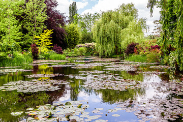 Pond, trees, and waterlilies in a french garden