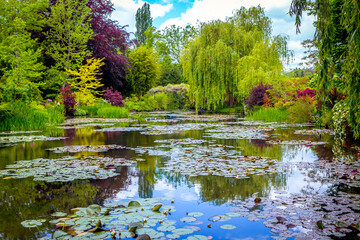Pond, trees, and waterlilies in a french garden