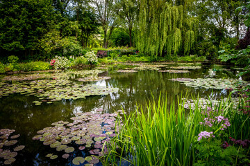 Pond, trees, and waterlilies in a french garden