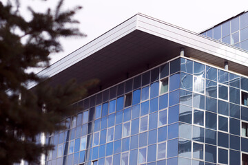 Obraz premium modern glass clinic office building in sunny day with fir branches near, hospital and science center exterior, health care and vaccination